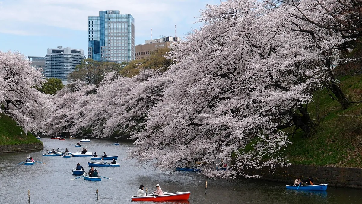 東京の公園